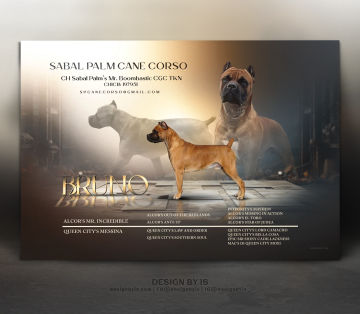 Kennel logo design