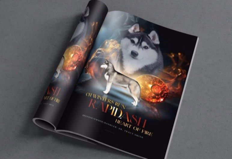 Dog magazine Ads