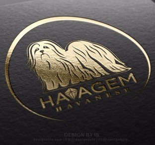Havanese logo