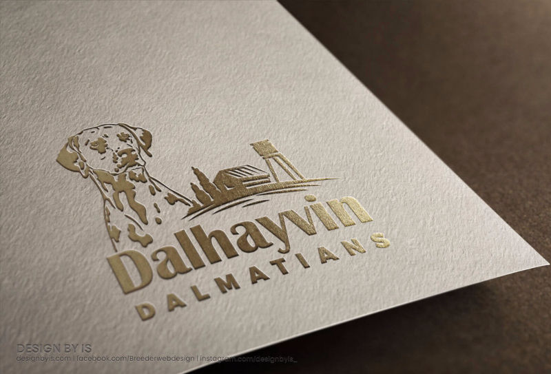 Custom Dalmatians logo. Dalmatians kennel logo design
