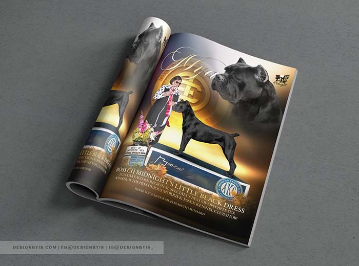 Cane Corso magazine advertising