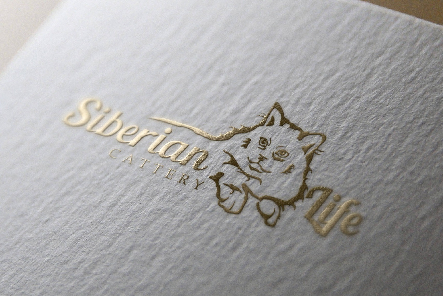 Siberian cat cattery logo