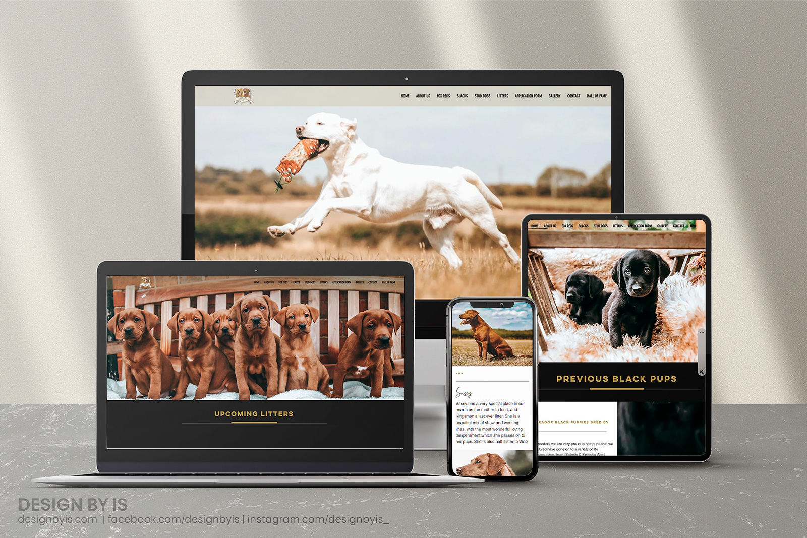 Labrador breeder website