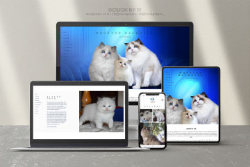 Ragdoll Cattery website 