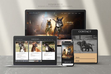 Boxer Website