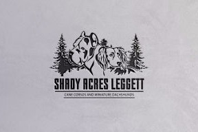 Kennel logo design