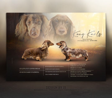 Breeders designs