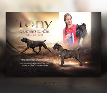Dog AD