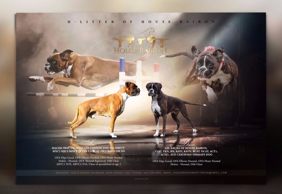 Breeder ADS