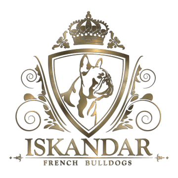 French bulldog logo