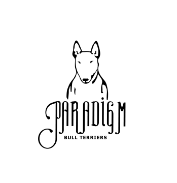 Bull terrier logo